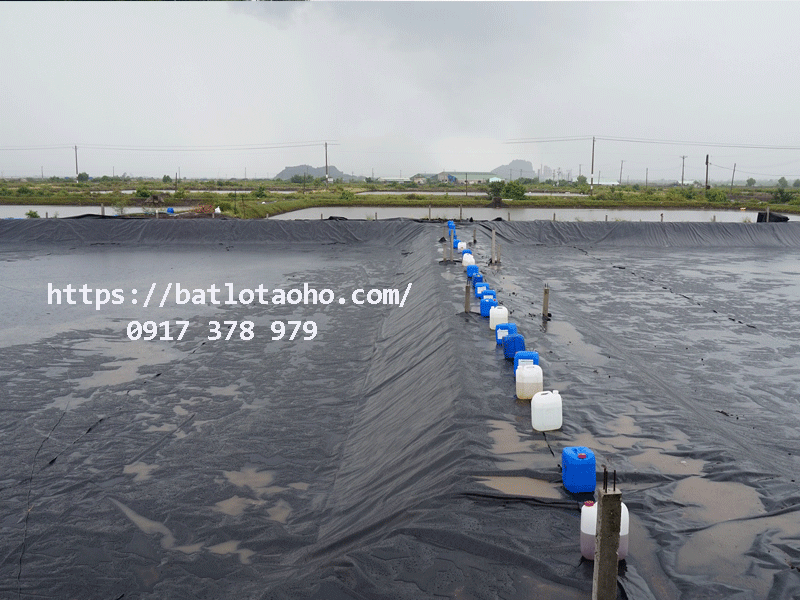 Bán Bạt Lót Ao Hồ Nuôi TÔm, Nuôi Cá Bạt HDPE CHống Thấm CHứa Nước Bình Phước Bán Bạt Lót Ao Hồ Nuôi TÔm, Nuôi Cá Bạt HDPE CHống Thấm CHứa Nước Bình Phước