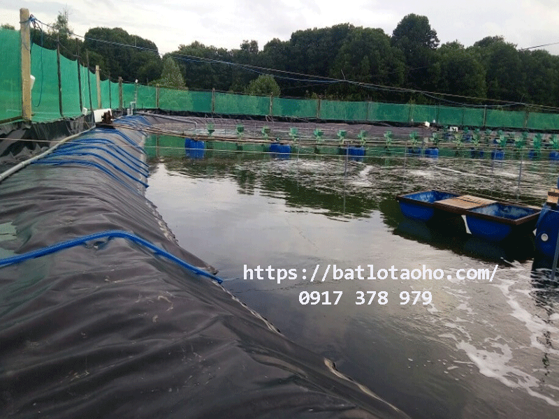 Hướng dân thi công màng chống thấm bằng bạt nhưa HDPE lót ao hồ Bán Bạt Lót Ao Hồ Nuôi TÔm, Nuôi Cá Bạt HDPE CHống Thấm CHứa Nước Bình Phước