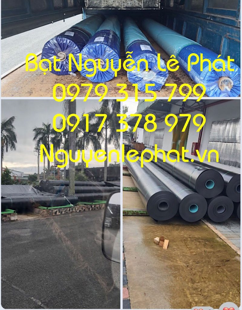 Bạt nhựa nuôi cá Đồng Nai,Bồn bạt nuôi cá Đồng Nai,Bạt lót hồ cá Đồng Nai,Giá bạc lót tại Đồng Nai,Hồ bạt nuôi cá Đồng Nai,Giá bể bạt nuôi cá Đồng Nai,Tấm lót be cá Đồng Nai,