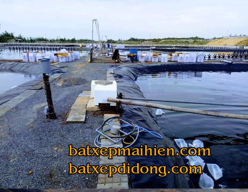 Kỹ thuật thi công làm nền ao, hồ trước khi trải bạt – Hướng dẫn làm mặt bằng ao hồ trước khi trải ... Bạt HDPE lót ao nuôi tôm thường có độ dày từ 0.5 – 1 mm. Kỹ thuật thi công làm nền ao, hồ trước khi trải bạt – Hướng dẫn làm mặt bằng ao hồ trước khi trải ... Bạt HDPE lót ao nuôi tôm thường có độ dày từ 0.5 – 1 mm.