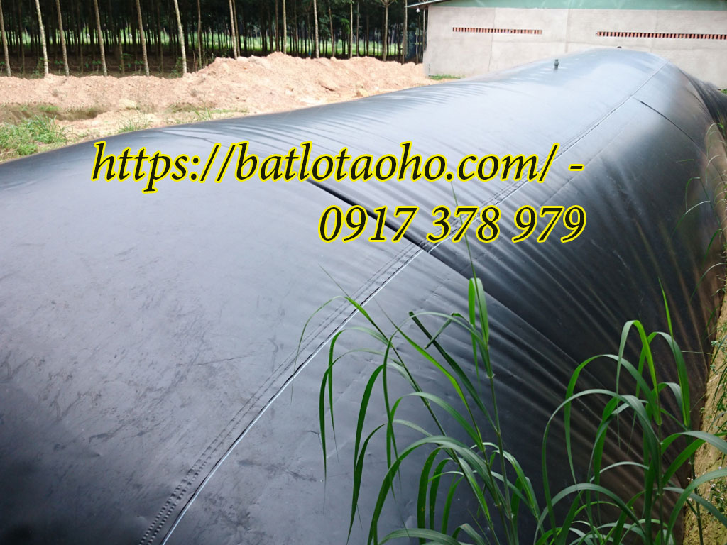 Cung Cấp Bạt HDPE Lót Hồ Nuôi Tôm Tại Ninh Bình, Bạt Nhựa Chống Thấm Cung Cấp Bạt HDPE Lót Hồ Nuôi Tôm Tại Ninh Bình, Bạt Nhựa Chống Thấm
