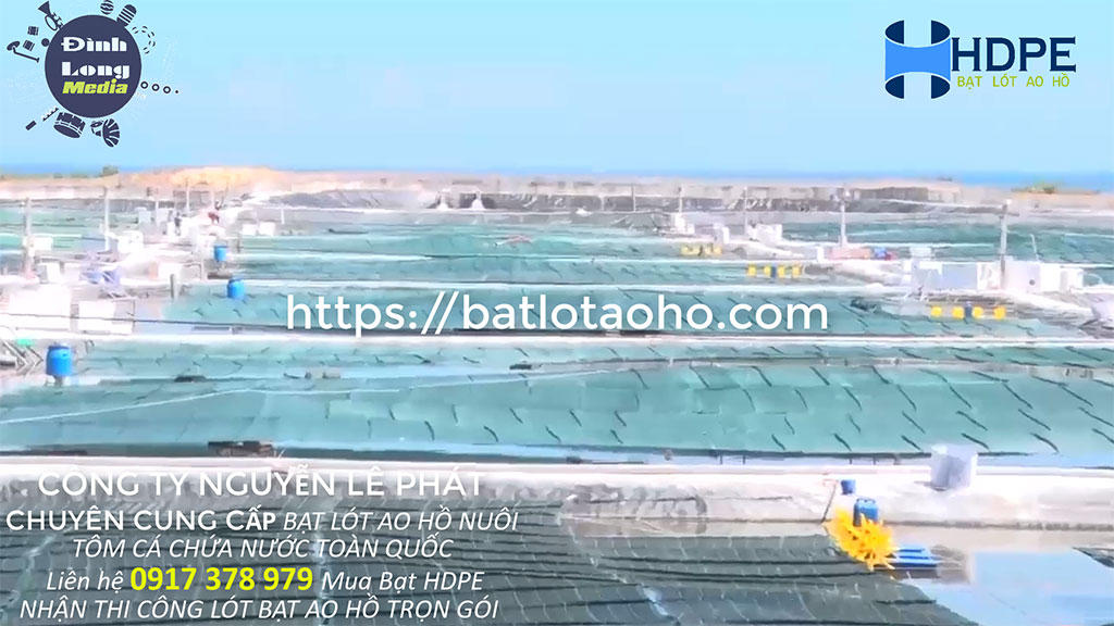 Cung Cấp Bạt HDPE Lót Hồ Nuôi Tôm Tại Ninh Bình, Bạt Nhựa Chống Thấm Cung Cấp Bạt HDPE Lót Hồ Nuôi Tôm Tại Ninh Bình, Bạt Nhựa Chống Thấm