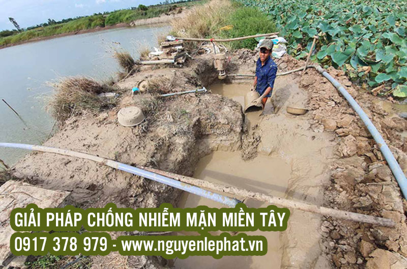 Giải Pháp Chống Nhiễm Mặn Hiệu Quả ở Miền Tây