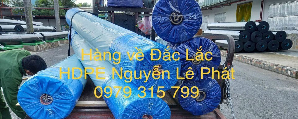 Màng bạt nhựa HDPE Nguyenlephat nlp