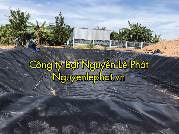 Bạt Lót Ao Hồ Chứa Nước Chống Thấm Tưới Cây tại An Giang