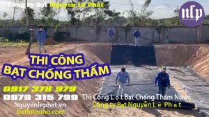 Bạt trải rải ao hồ chống thấm nước