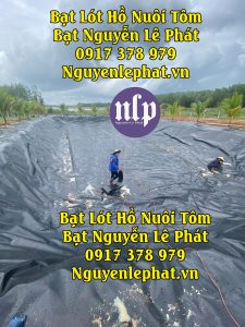 Bạt Lót Ao Hồ Chứa Nước Nuôi Cá Tại Dầu Tiếng