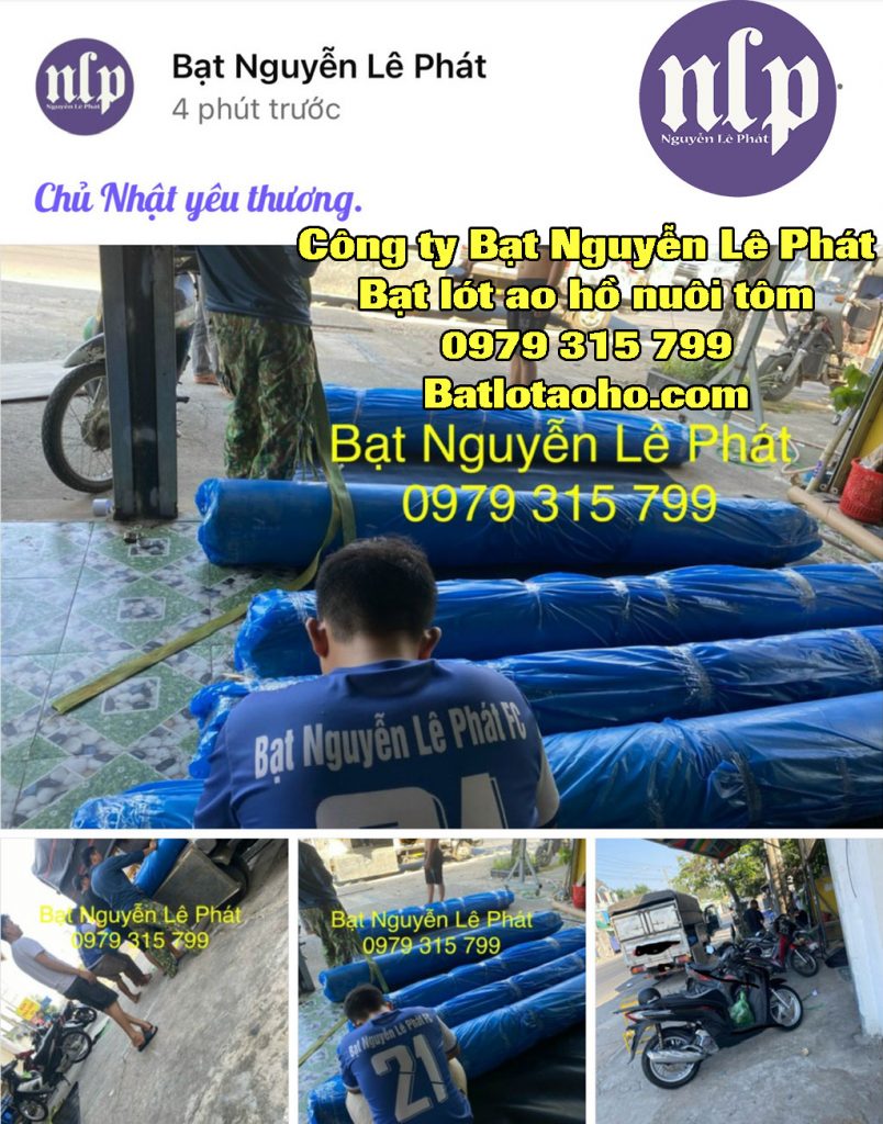 Bạt Lót Ao Hồ Chứa Nước Nuôi Cá Tôm tại Bình Thuận