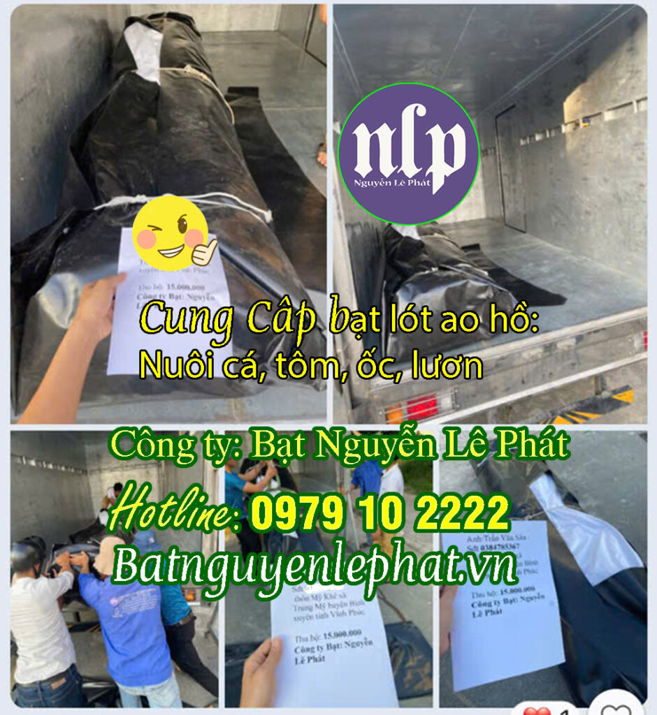 Bạt Lót Ao Hồ Chứa Nước Nuôi Cá Tại Sơn La