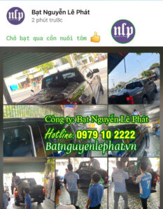 Bạt Nhựa HDPE Lót Ao Hồ Chứa Nước Nuôi Cá, Tôm tại Quy Nhơn, Bình Định giá rẻ