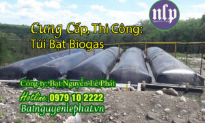 Túi Biogas Xử Lý Chất Thải Nuôi Heo, Gà, Vịt tại Bắc Giang