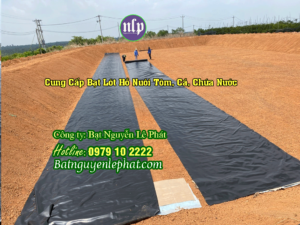 Cung Cấp Bạt Lót Hồ Chứa Đựng Nước Tưới Cây tại Bom Bo Bù Đăng
