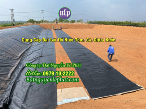 Bạt Nhựa HDPE Lót Hồ Chứa Nước Bù Đăng