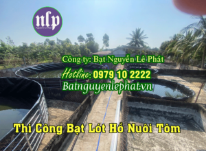 Bạt Lót Hồ Gia Lại, Báo Giá Thi Công Bạt Lót Ao Hồ Chứa Đựng Nước Tưới Cây Gia Lai