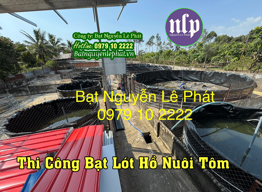 Thi Công Bạt Lót Ao Hồ Chứa Nước Tưới Cây Nuôi Cá Nghệ An Thi Công Bạt Lót Ao Hồ Chứa Nước Tưới Cây Nuôi Cá Nghệ An