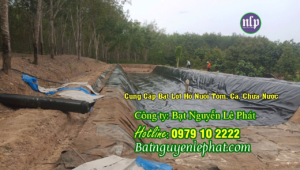 Cung Cấp Bạt Chứa Đựng Nước Tưới Cây Chuyên Dụng