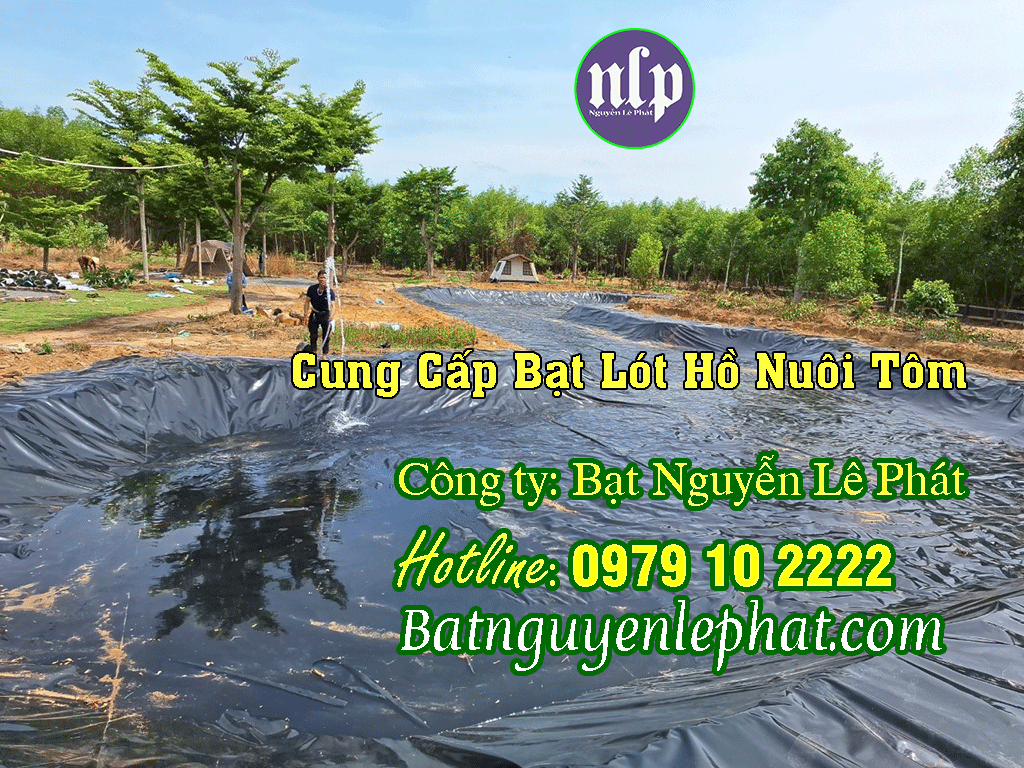 Bạt lót hồ tại Bến Tre Bạt lót hồ tại Bến Tre