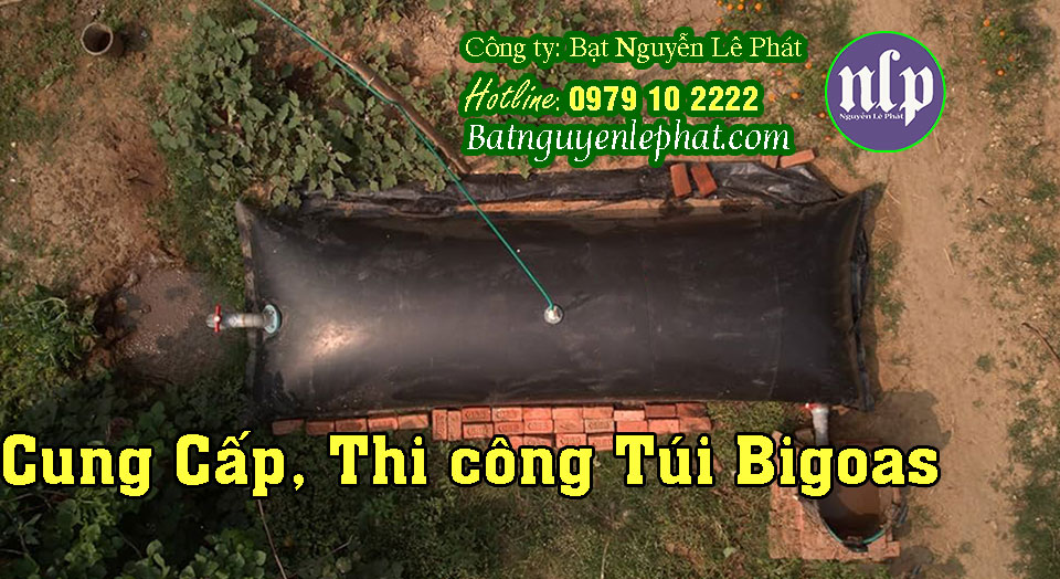 Thi công túi bigoas tại Hải Phòng Thi công túi bigoas tại Hải Phòng