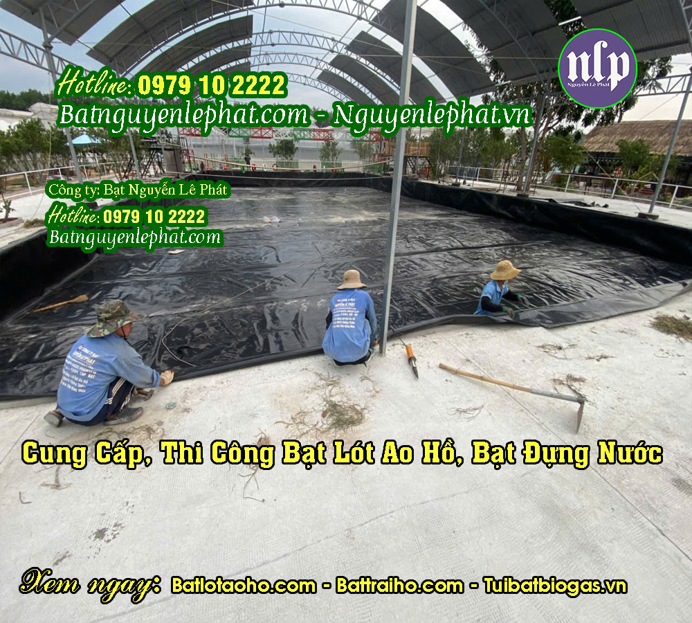 Thi Công Lót Bạt Hồ Bơi Tại Thủ Dầu Một, Bình Dương Thi Công Lót Bạt Hồ Bơi Tại Thủ Dầu Một, Bình Dương