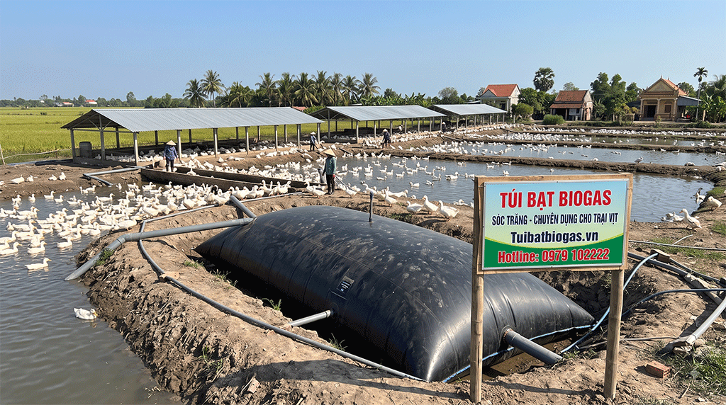 Thi Công Túi biogas Xử Lý Chất Thải Nuôi Heo, Gà Vịt tại Đắk Nông
