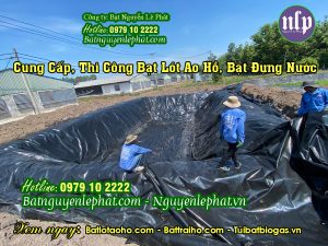 Bạt lót hồ phú giáo