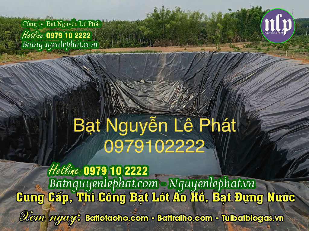 Bạt lót hồ